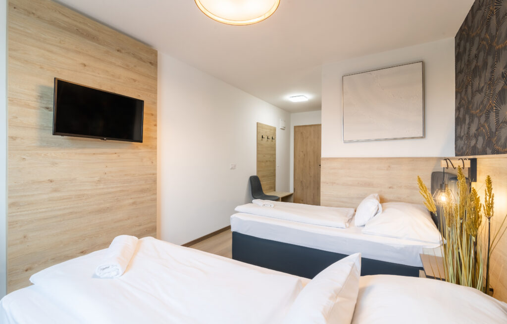 CAMERA STANDARD, wifi, parcare, baie, TV Pat twin Hotel Hegyeshalom
