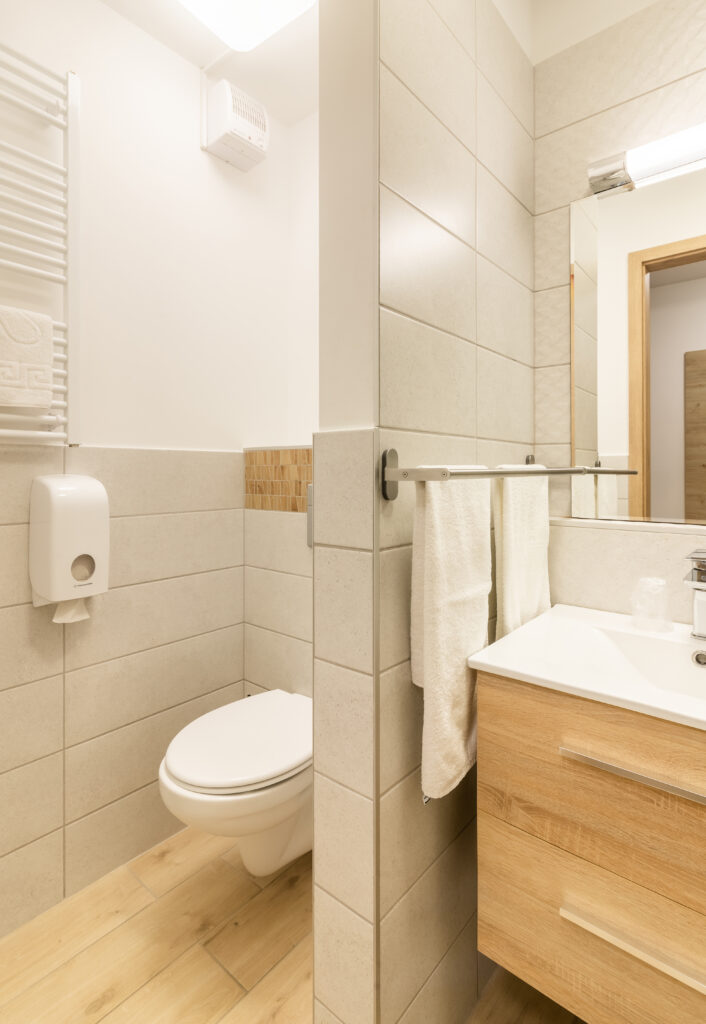 CAMERA STANDARD, wifi, parcare, baie, TV Pat twin Hotel Hegyeshalom