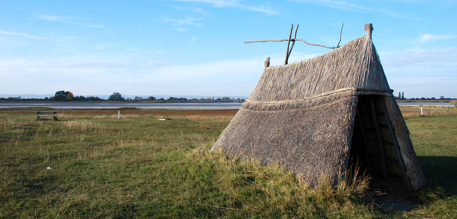 Illmitz és a pusztai táj