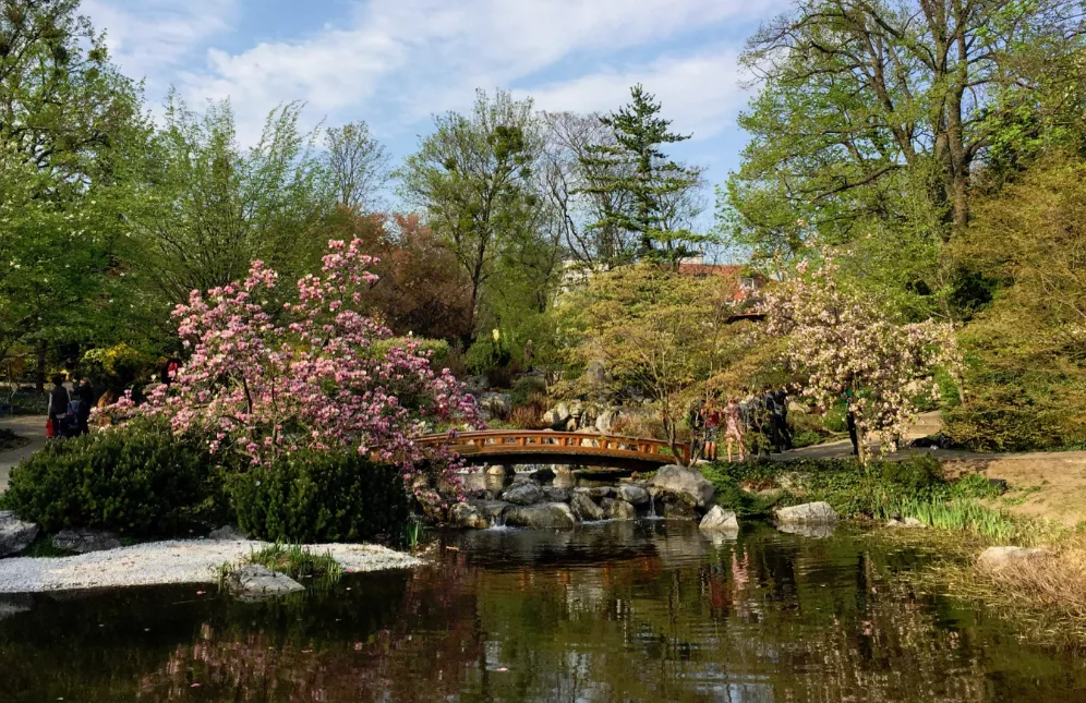 Setagaya Park