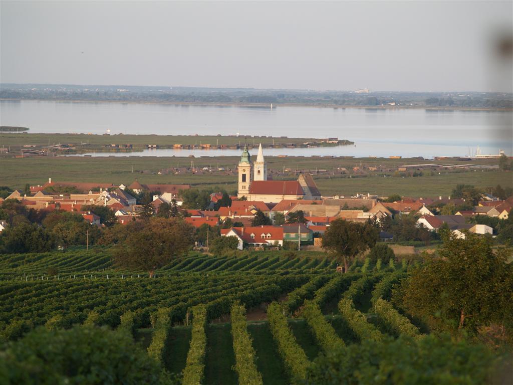 borkostolás